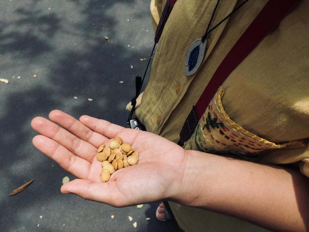 Dos siglos de olvido verde: cómo hemos perdido el 60% de nuestra conexión con la&nbsp;naturaleza